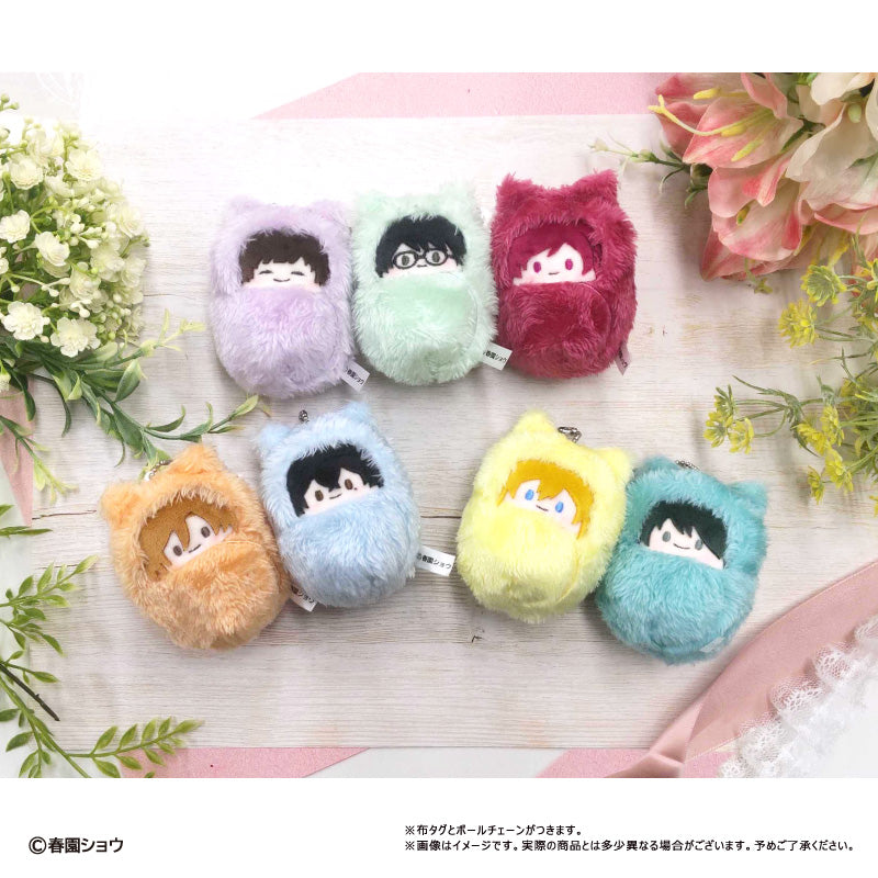 Sasaki and Miyano Kurumi Tapi-nui Plush Blind Box