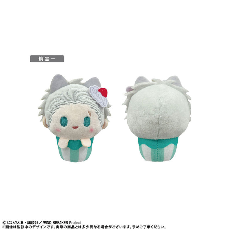WIND BREAKER Cupcake Tapinui Plush Blind Box