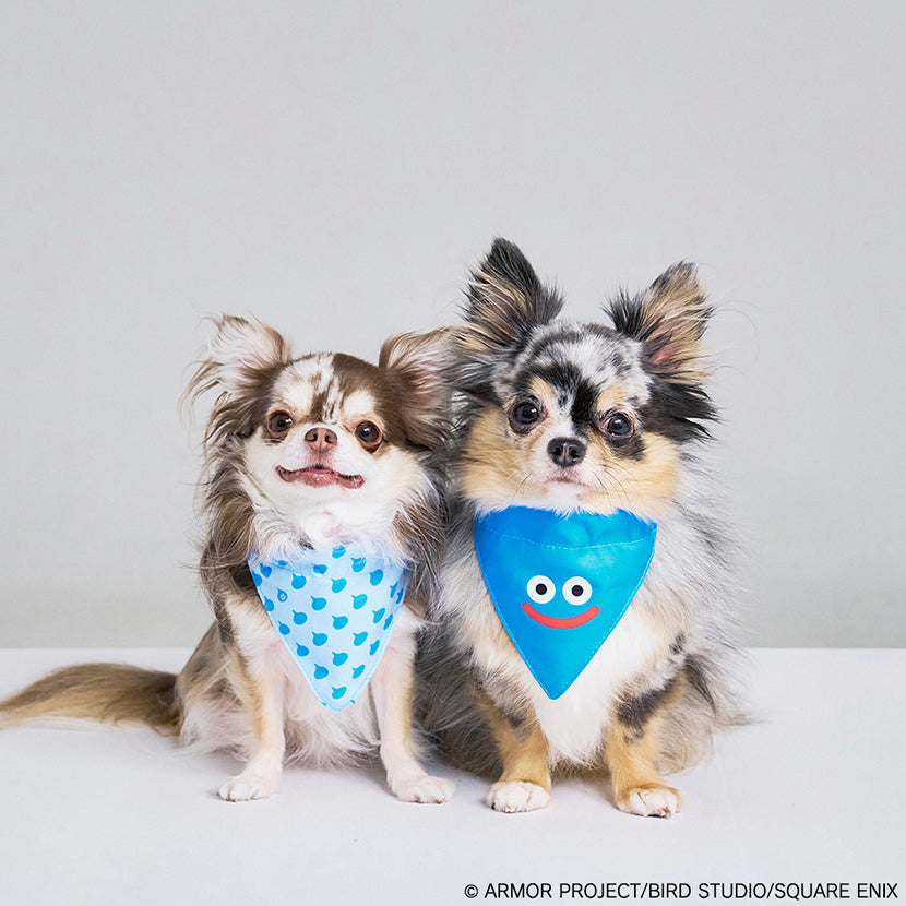 Dragon Quest PETs Pet Bandana [Slime]