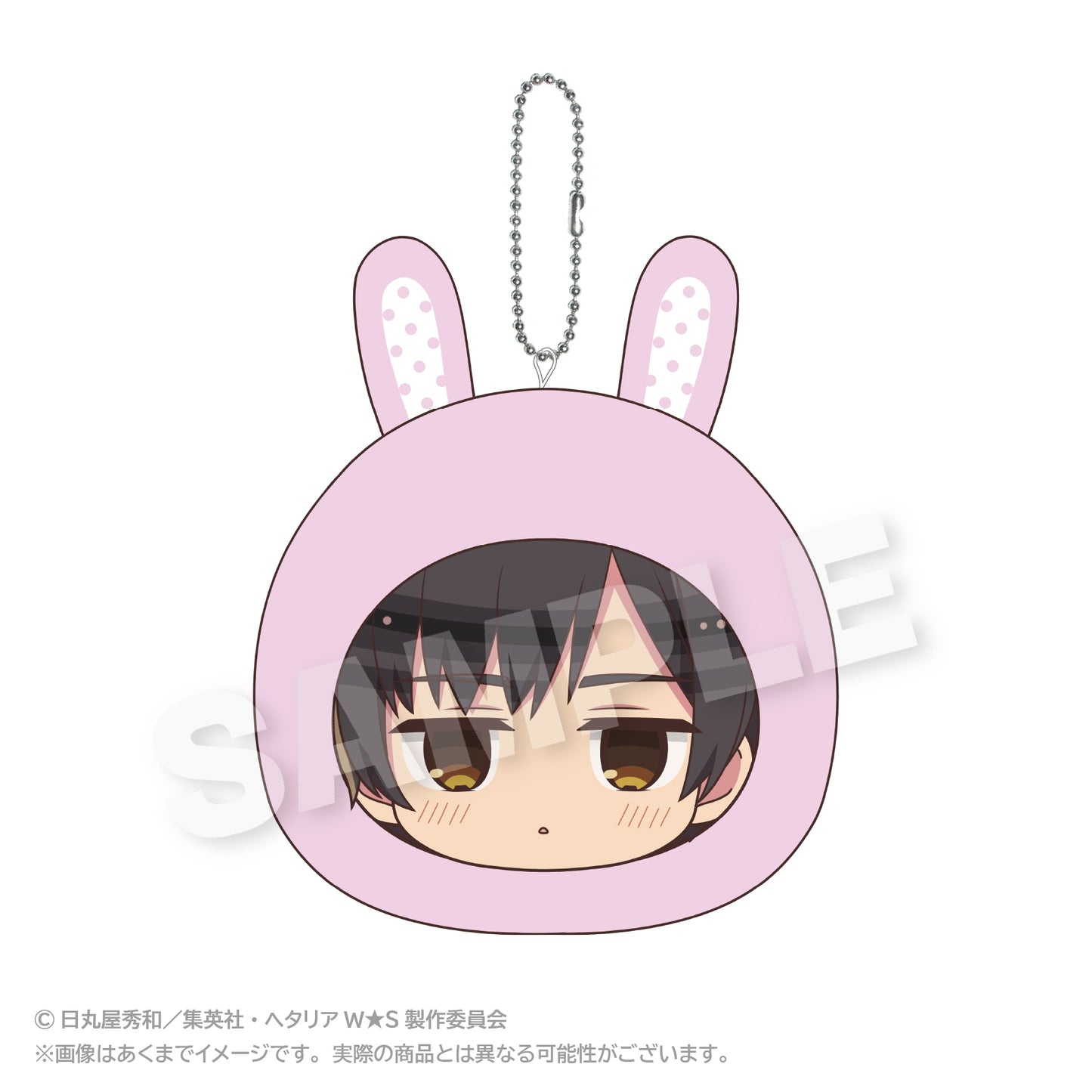 Hetalia World Stars (Animal Hoodie ver.) Marumates Cushion Keychain [Japan]