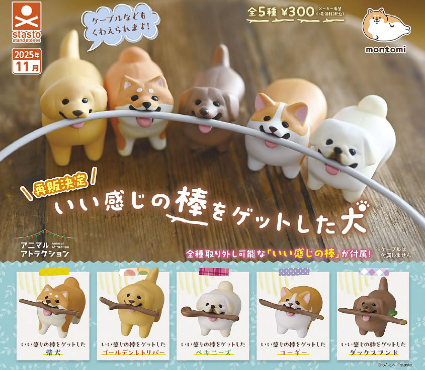 Dogs who got nice sticks