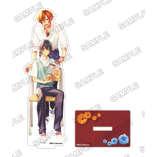 Sasaki and Miyano Acrylic Stand [B]