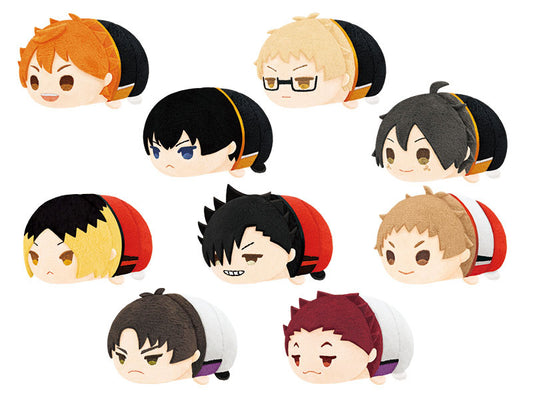 Haikyuu!! MochiMochi Mascot (Vol. 1) Plush Blind Box