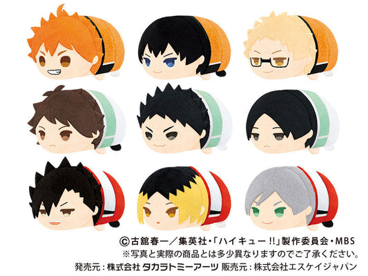 Haikyuu!! MochiMochi Mascot (Vol. 4) Plush Blind Box
