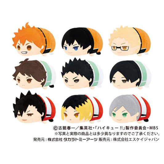 Haikyuu!! MochiMochi Mascot (Vol. 4) Plush Blind Box