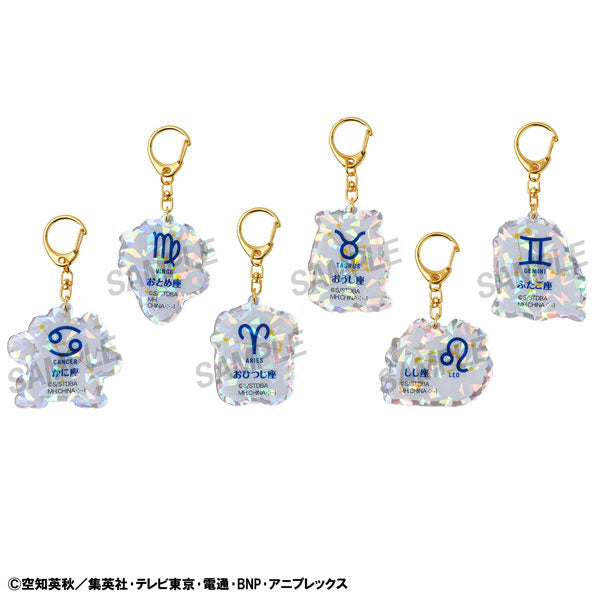 [FULL CASE] Gintama Elizabeth 12 Zodiac Spring & Summer Trading Acrylic Keychain