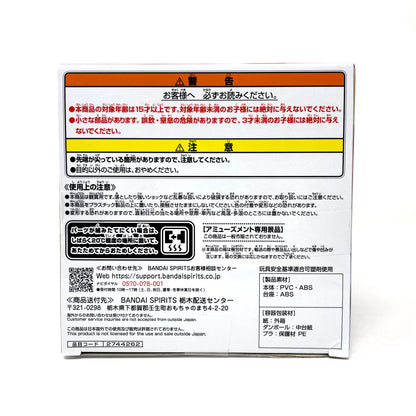 Banpresto - Hatsune Miku "Holiday Memories" Figure [Camera]