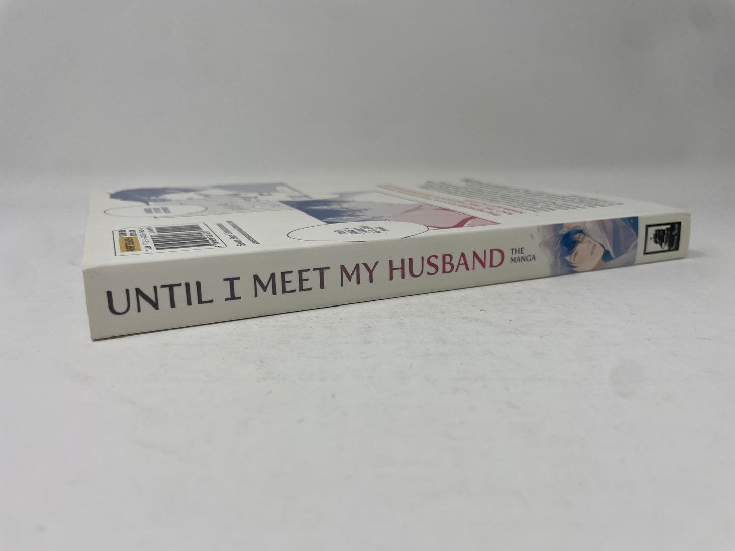 Until I Meet My Husband - The Manga